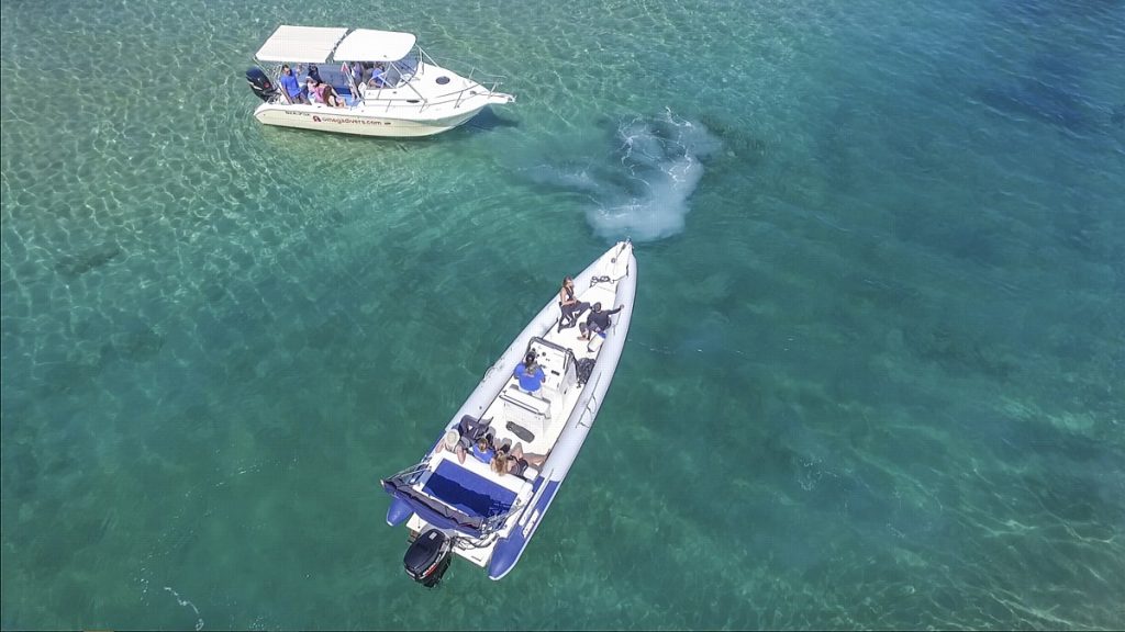 Snorkeling Park in Chania